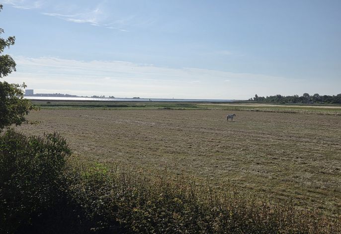 Bild 18
