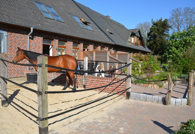 Bild 13