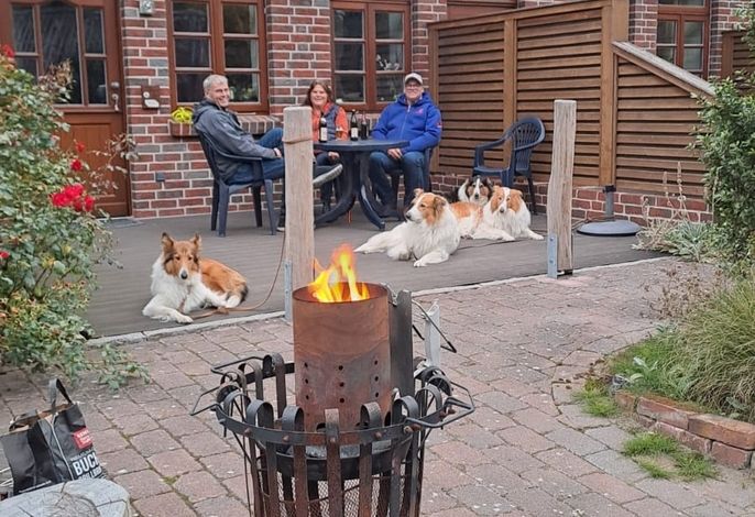 Bild 12
