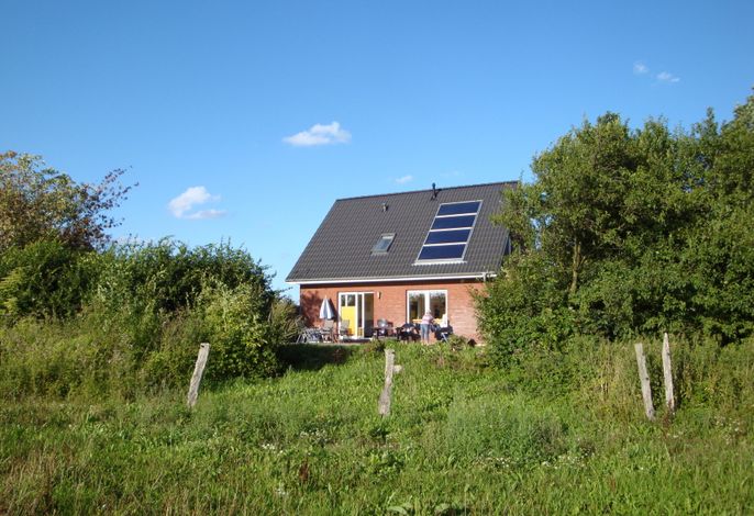 Bild 15