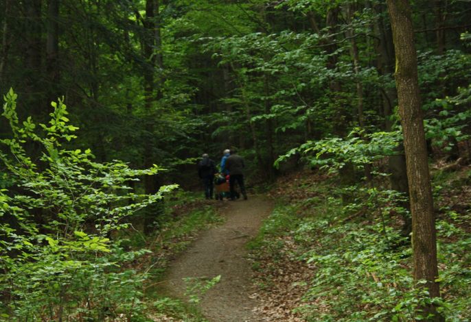 Bild 15