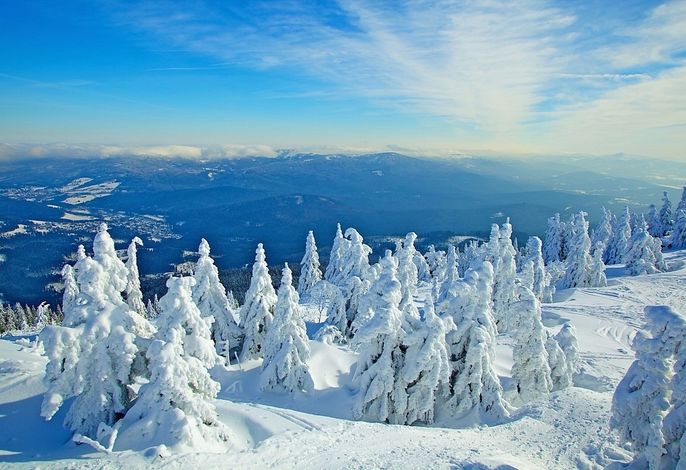 Bild 29