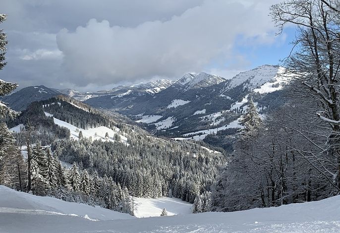 Bild 15