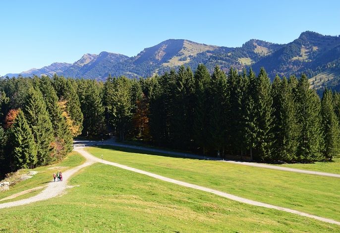 Bild 17
