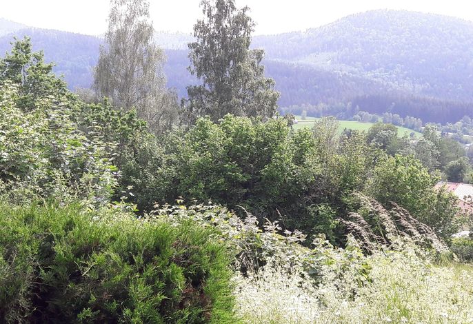 Bild 17