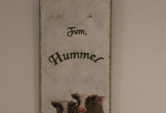 Bild 31