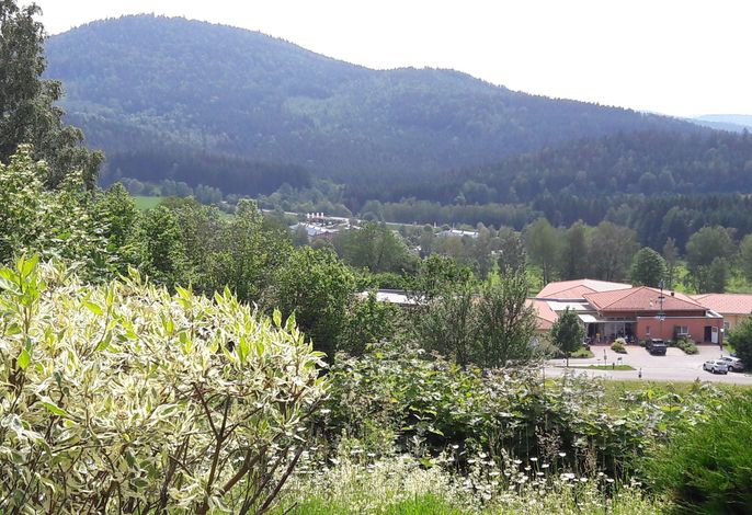 Bild 11