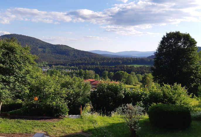 Bild 12