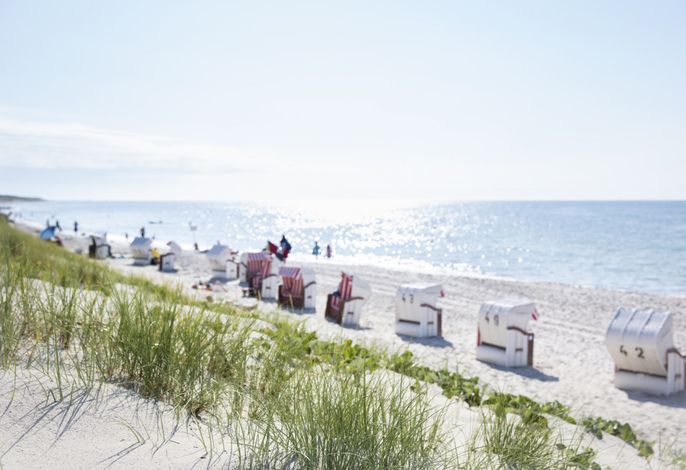 Bild 32
