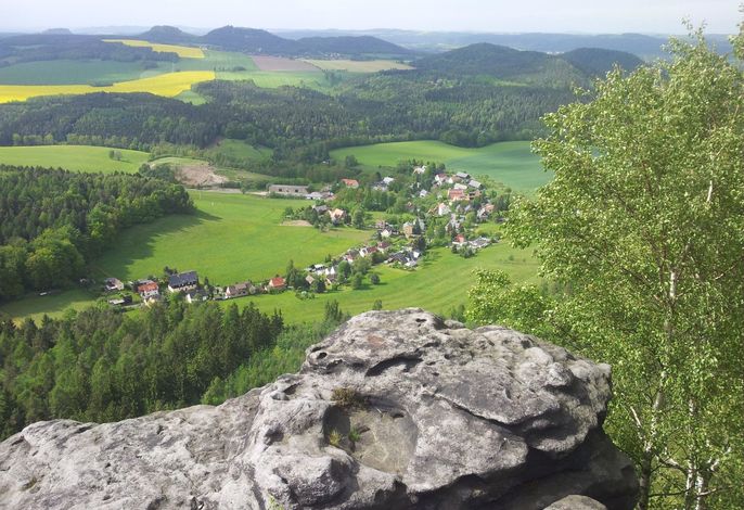 Bild 15