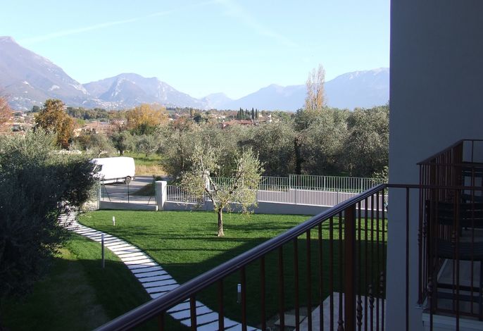 Bild 11