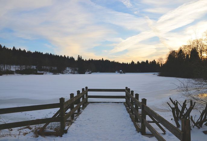 Bild 19