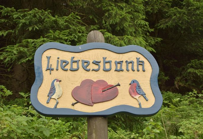 Bild 18