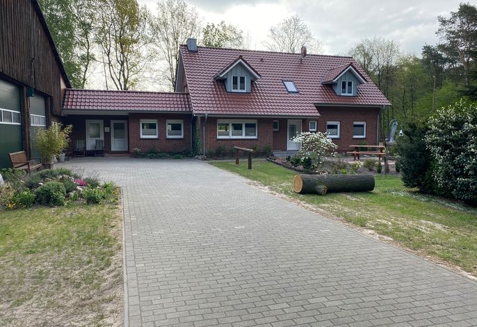 Bild 17