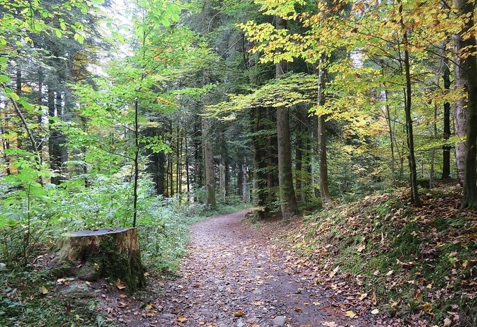 Bild 34