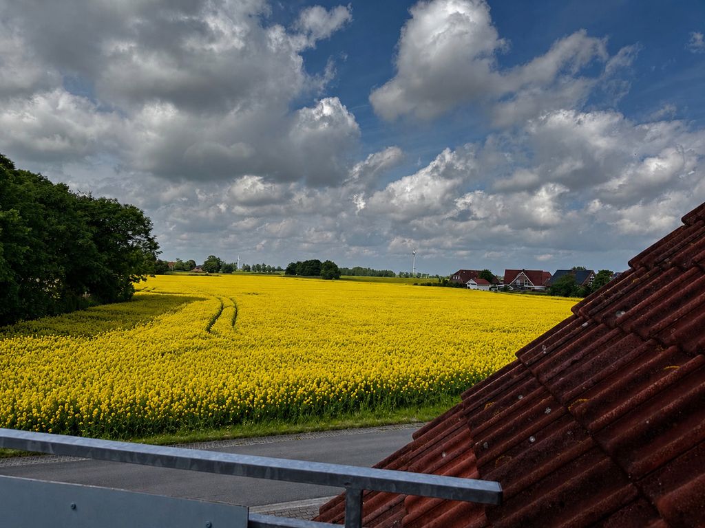 FeWo Blischke Nebenhaus (12)