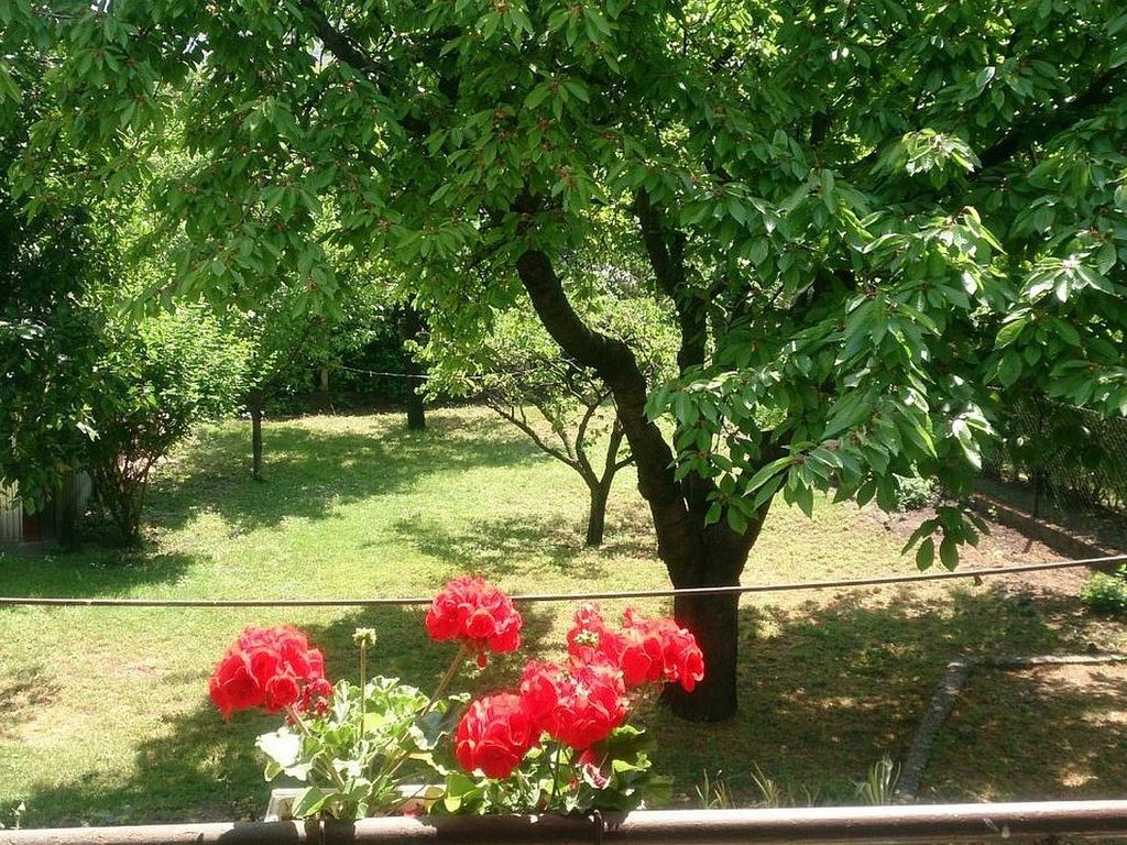 Ferienhaus  mit großem Garten für Paare, Familien mit & ohne Hund
