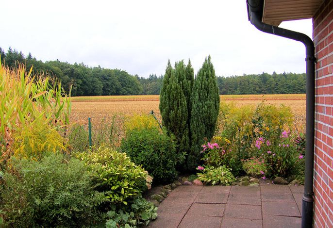 Bild 22