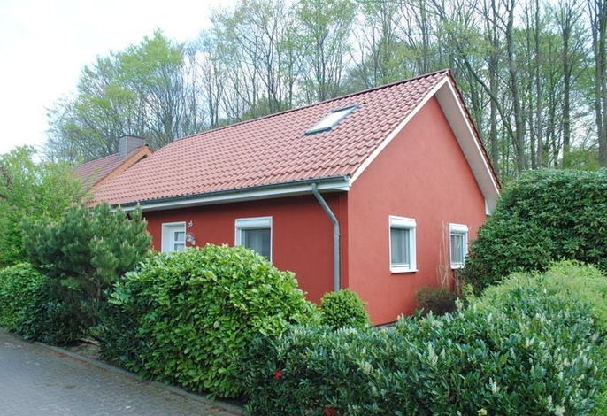 Bild 15