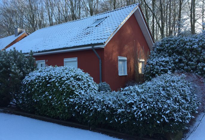 Bild 16