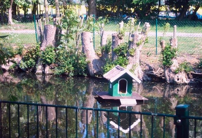 Bild 11