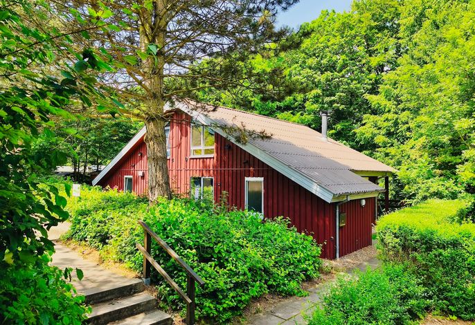 Komfort-Ferienhaus - Extertal Ferienpark - Entspannung, Natur, Wald, Familie #51