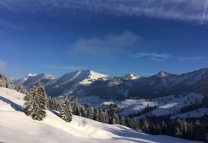Bild 22