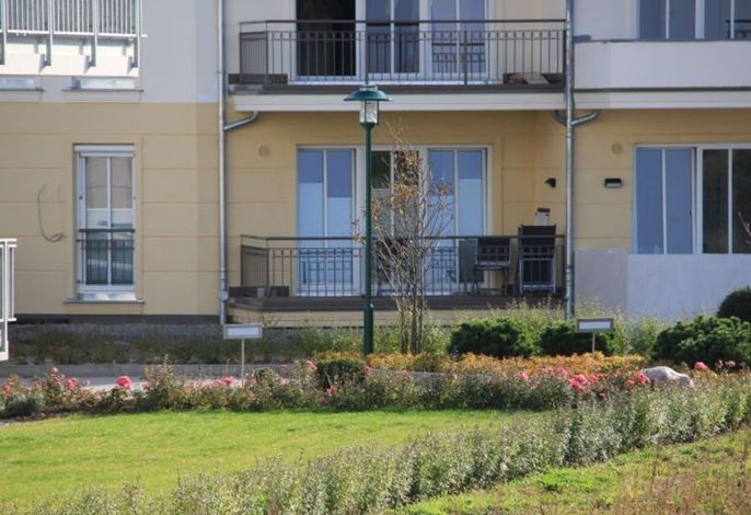 Photo Silbermöwe – Urlaub direkt am Ostseestrand 6