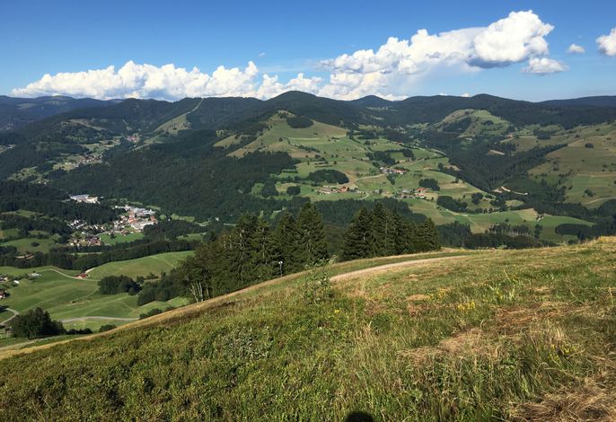 Bild 19