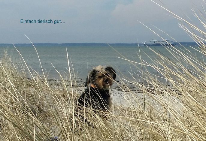 Bild 30