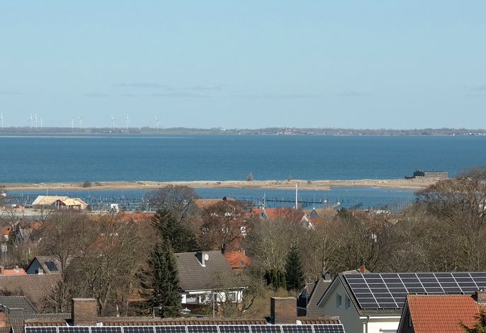 Bild 16