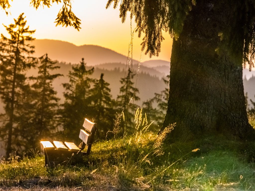 Fewo Sunneschii, Höchenschwand, Dorf am Himmel, Sauna im Haus