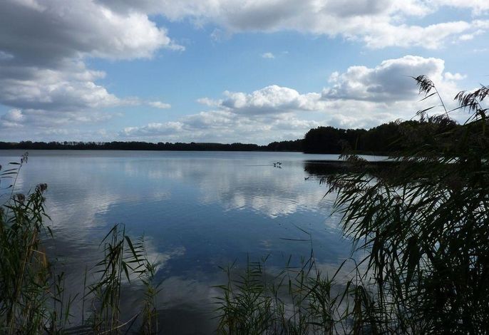 Bild 14