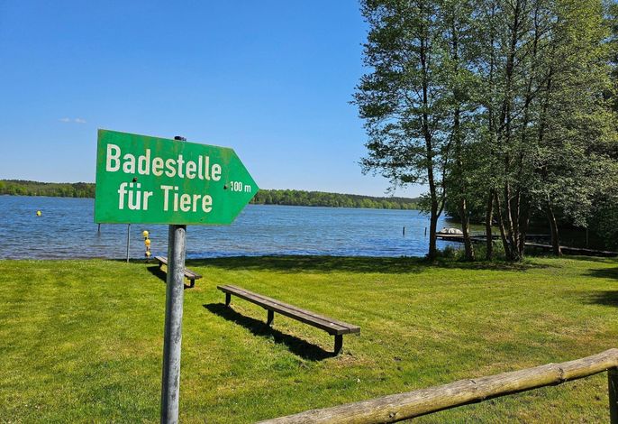 Bild 19