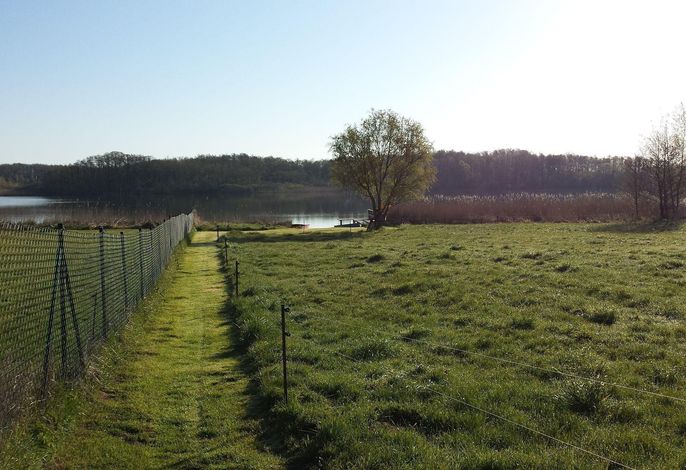 Bild 12