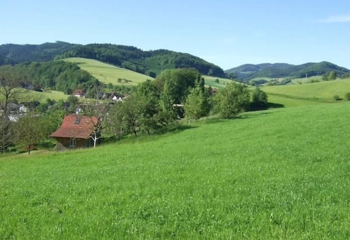 Bild 15