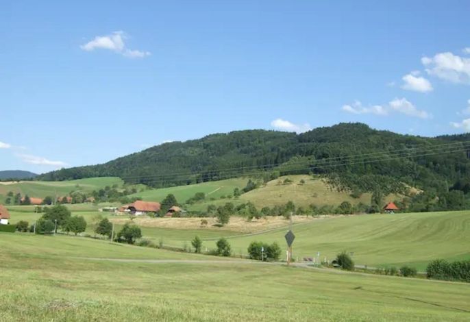 Bild 19