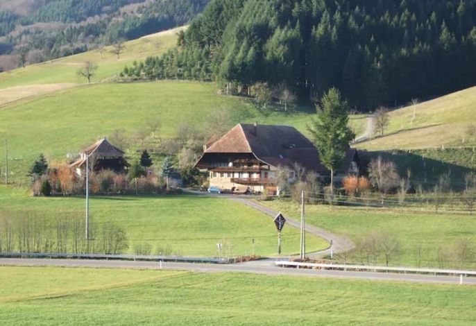 Bild 16