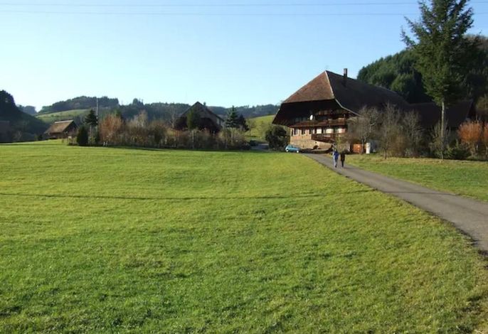 Bild 17