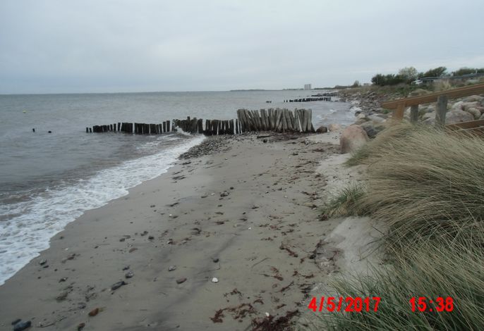 Bild 17