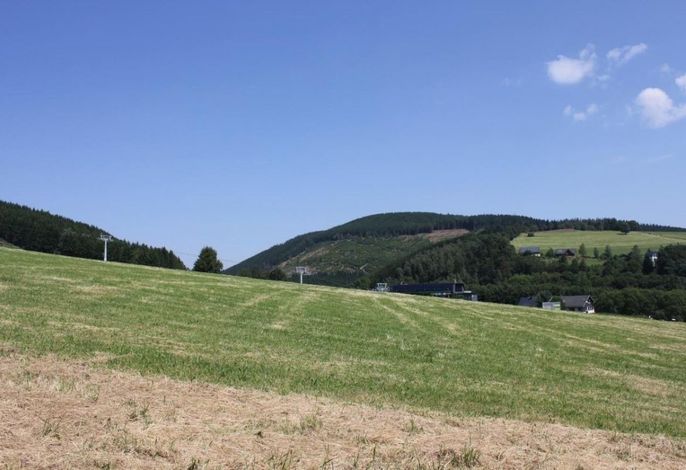 Bild 19
