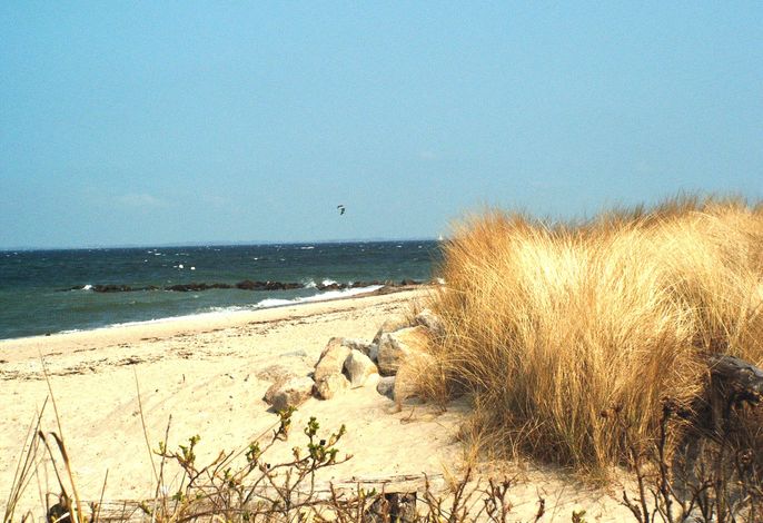 Bild 18