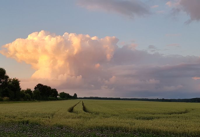 Bild 18