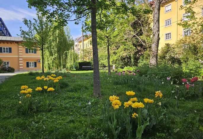 Bild 13