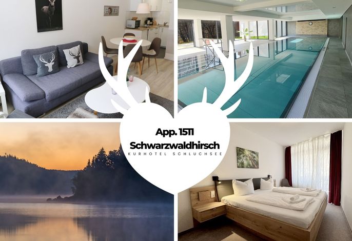 Kurhotel Schluchsee App. 1511 - Schwarzwaldhirsch - mit Innenpool und Sauna, Schluchsee