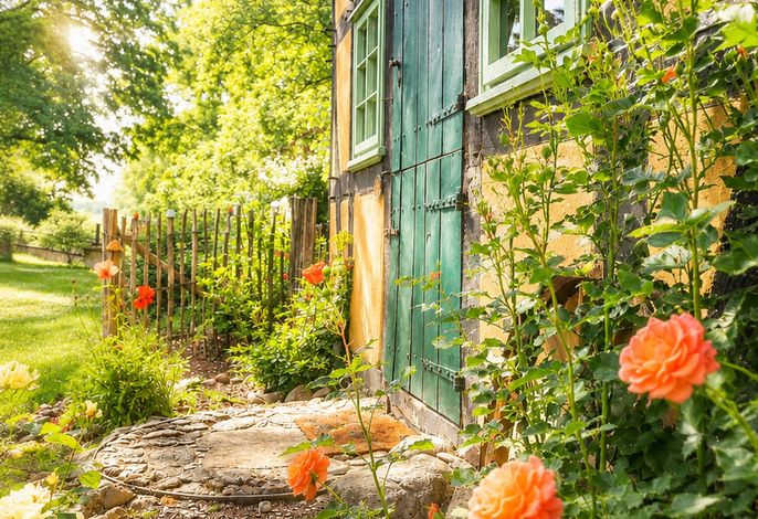 Idyllisches Ferienhaus Nähe Dümmer See | Auszeit | Sauna | Natur