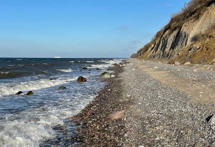 Bild 15