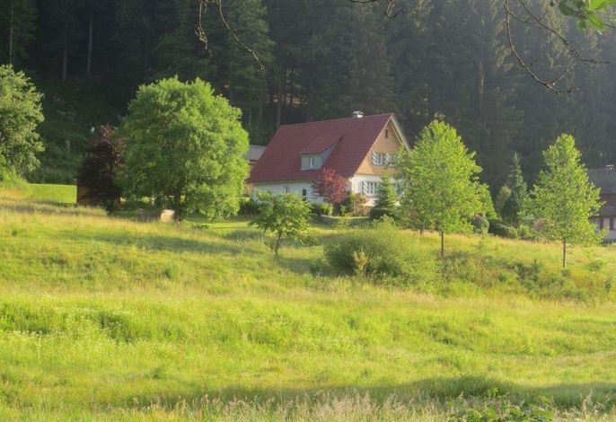 Bild 24