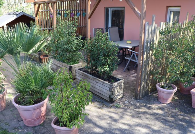 Bild 19