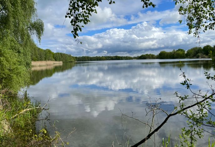Bild 18
